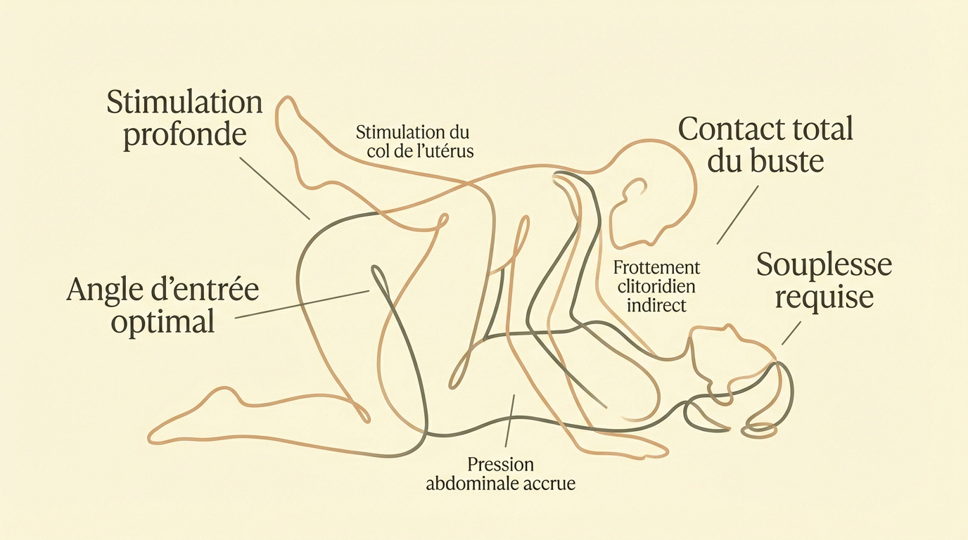 Schéma détaillé de l'alignement des corps dans la position de l'enclume